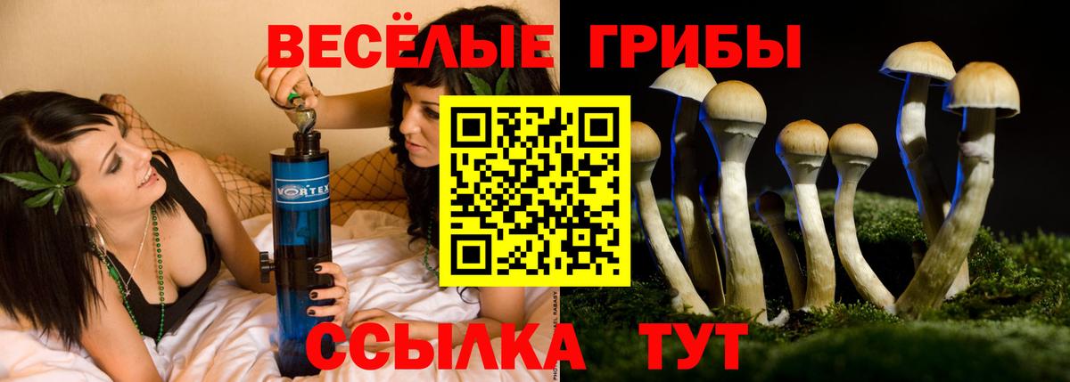 Заводоуковск  Псилоцибиновые грибы MAGIC MUSHROOMS  Вход с VPN 